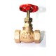 GM Globe Valve Forged Gun Metal Screwed Rising Stem ISI Marked (RMW)